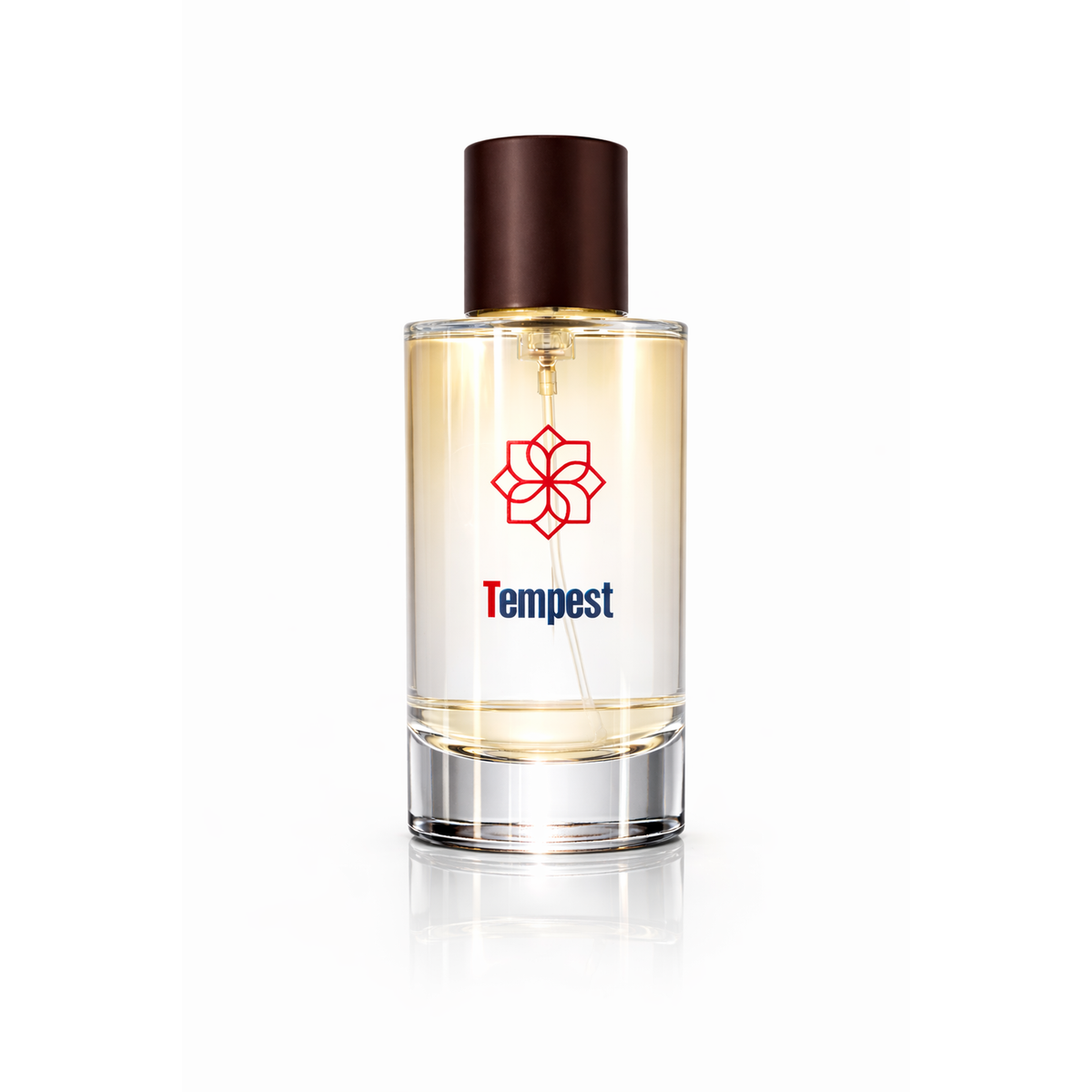 ENROSE Tempest Eau de Parfum for Men, Aquatic Fresh Fragrance, Sea Water, Lavender, Sandalwood Notes, 50ml